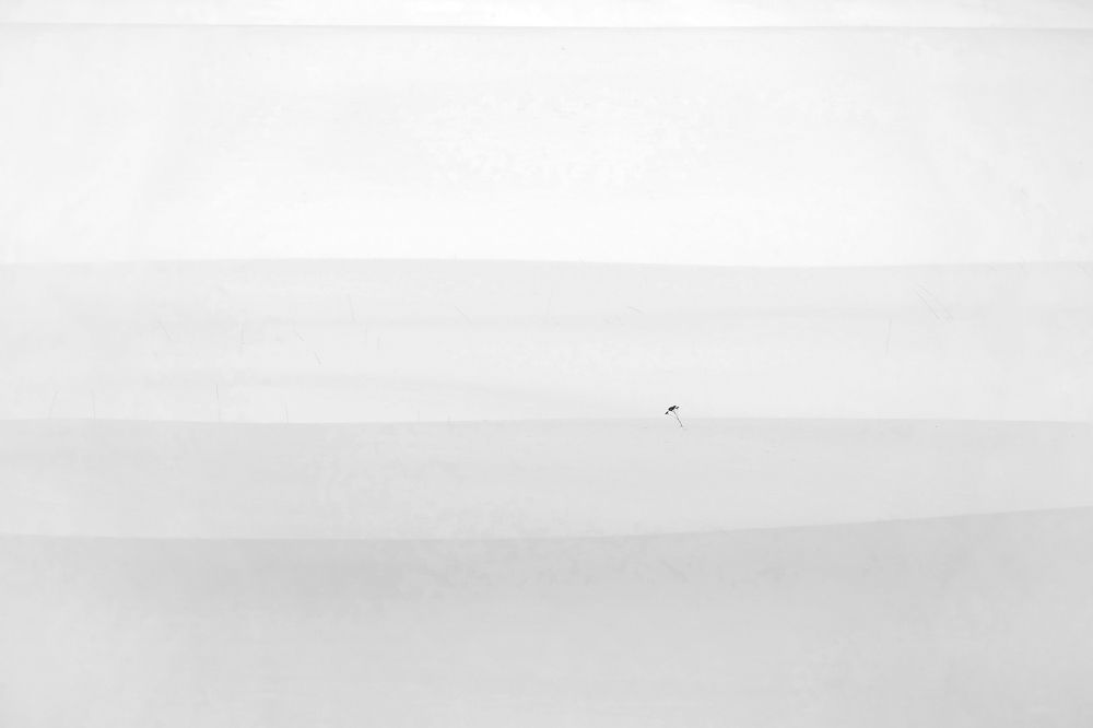 Фотография автора senjor