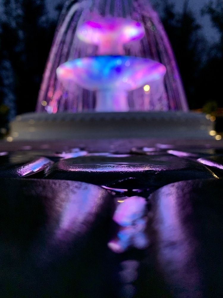 Photograph by Евгения Немцева