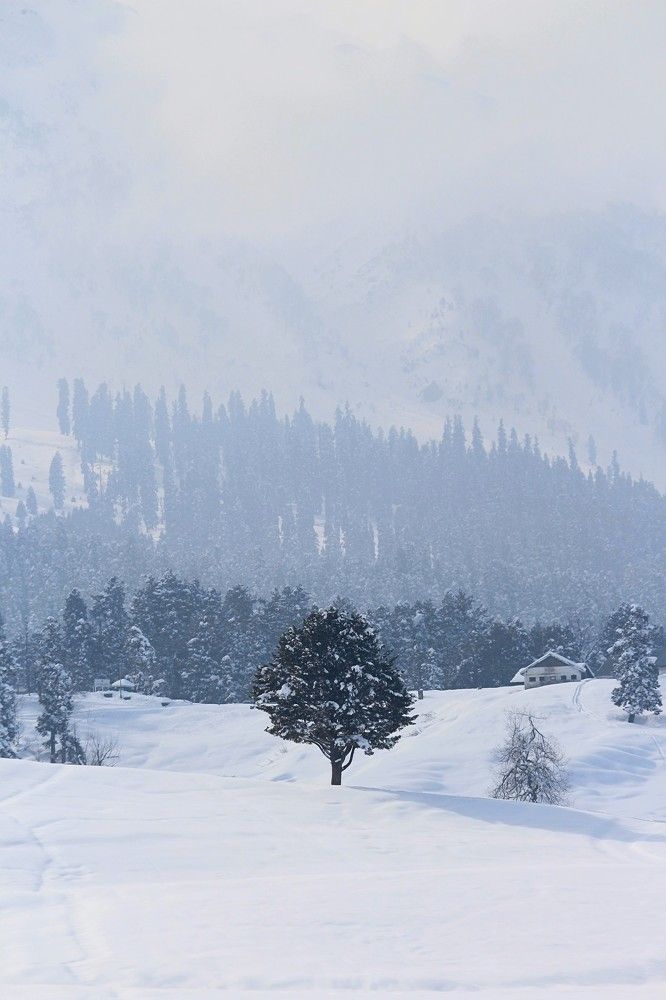 Photograph by Bhatt Muxamil