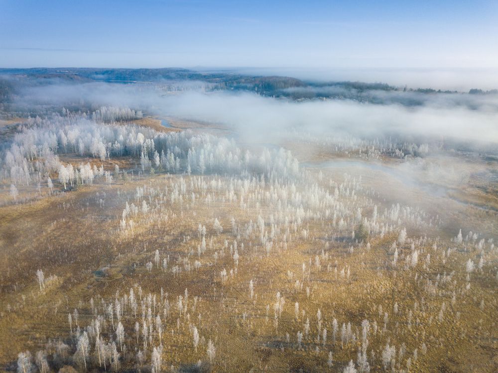 Photograph by Roman Dmitriev