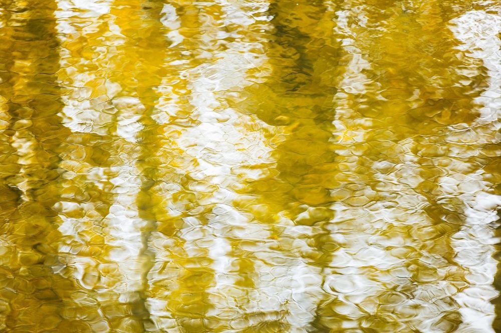 Photograph by Роман Никифоров