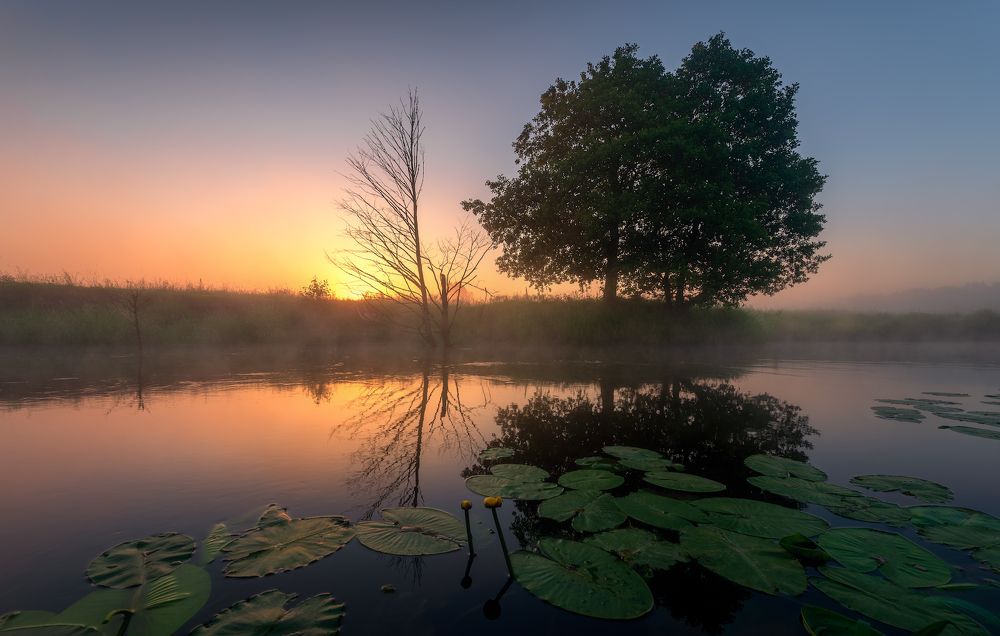 Photograph by Виталий Левыкин