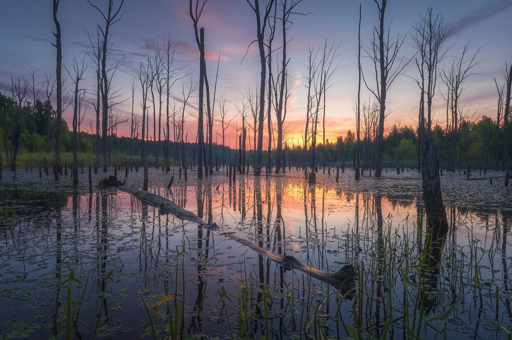 Photograph by Виталий Левыкин