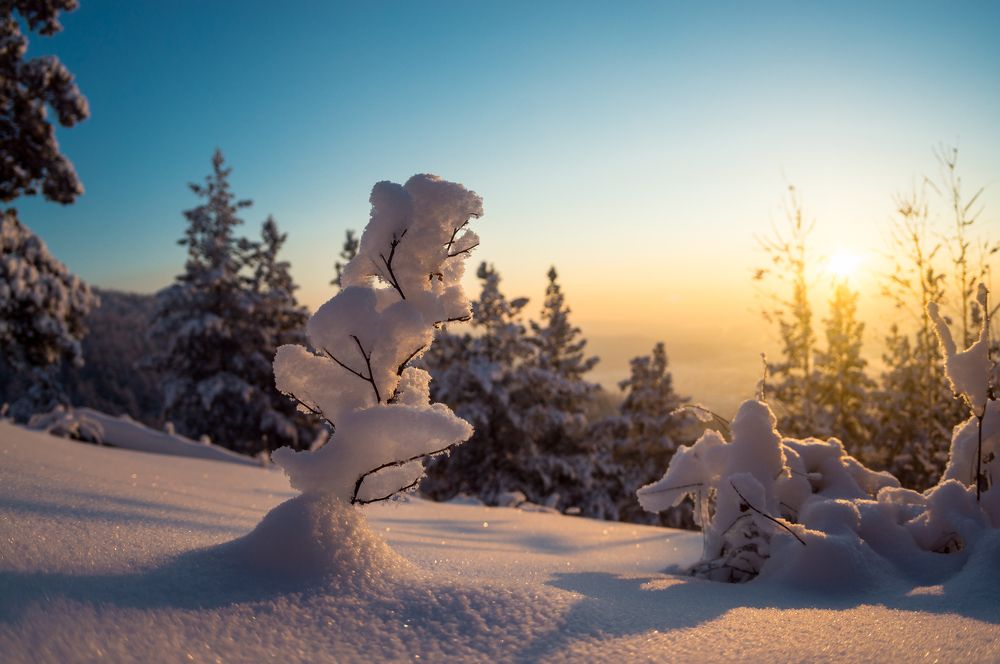 Photograph by Дмитрий Цыпляев