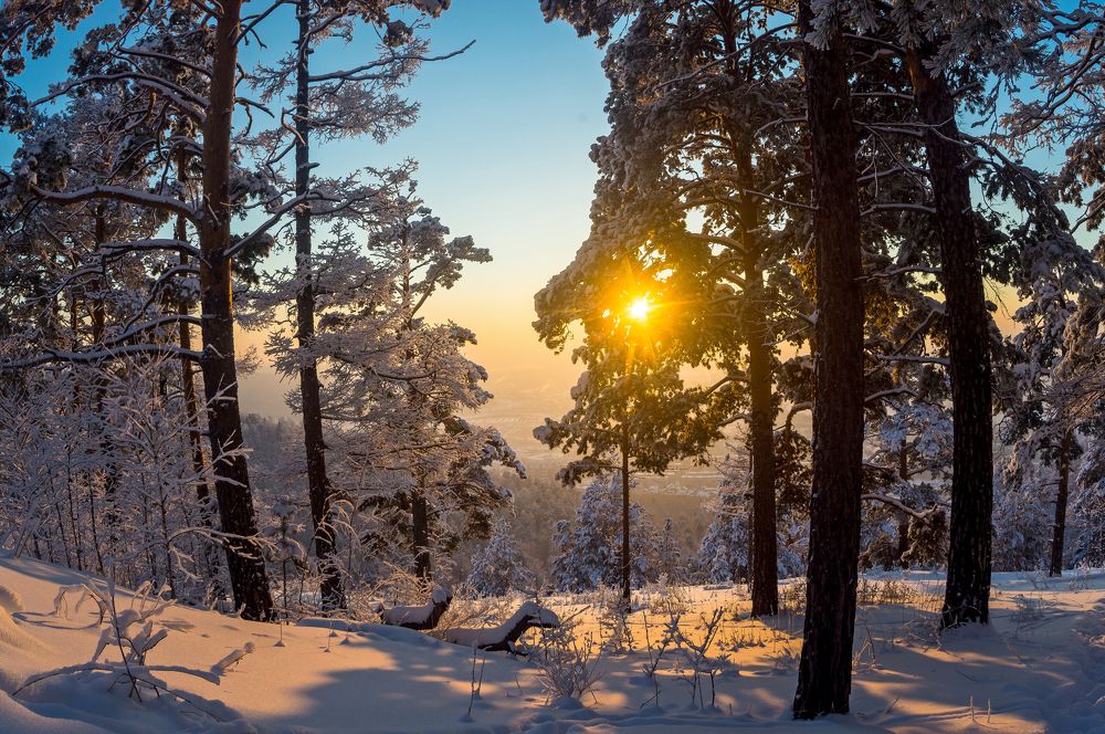 Photograph by Дмитрий Цыпляев