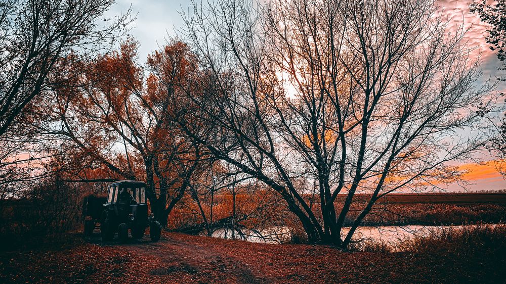 Photograph by Екатерина Алимова