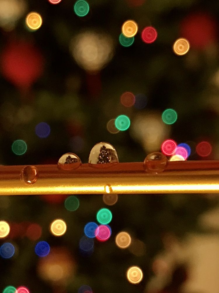 Christmas tree reflections