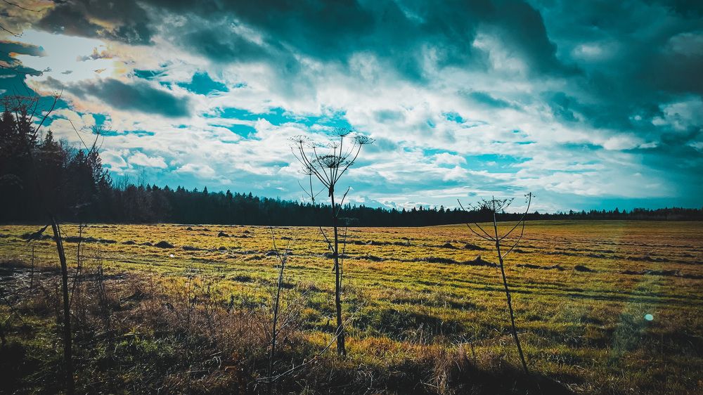 Photograph by Екатерина Алимова