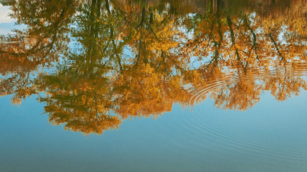 Photograph by Алексеев Саша