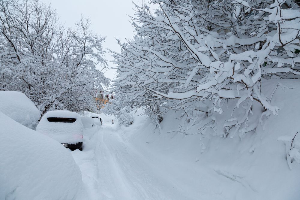 Photograph by Александр Максин