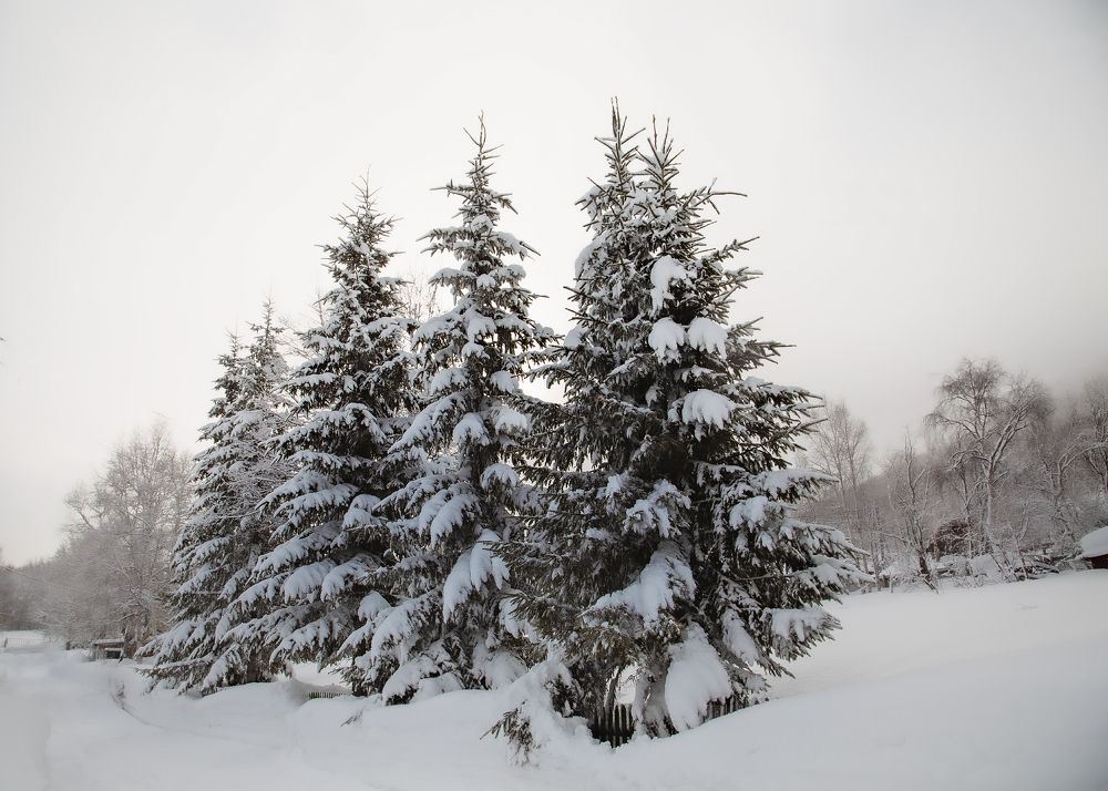 Photograph by Александр Максин