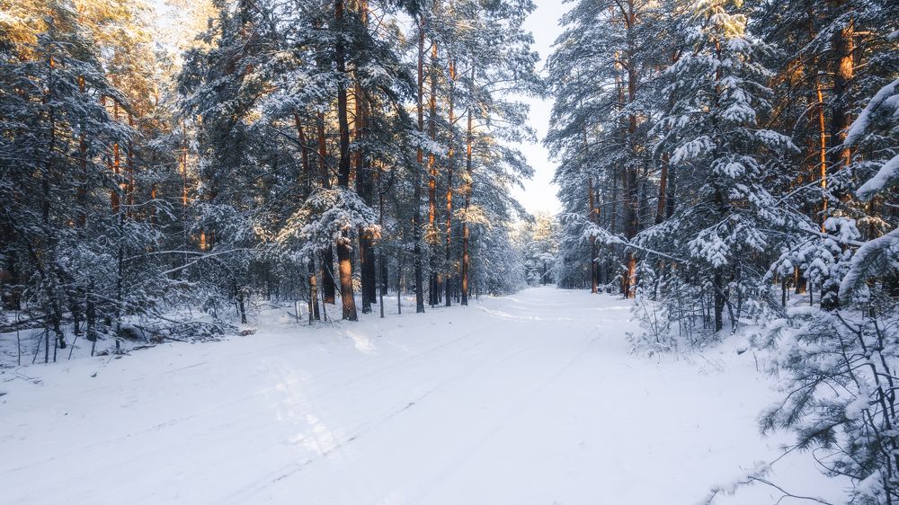 Photograph by Алексеев Саша