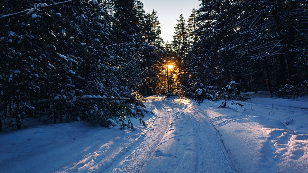 Photograph by Алексеев Саша