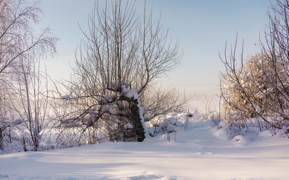 Photograph by Сергей Киселев