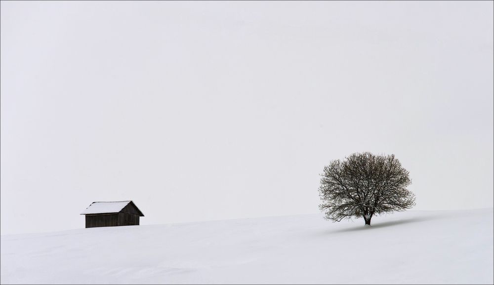 Photograph by Aeromast