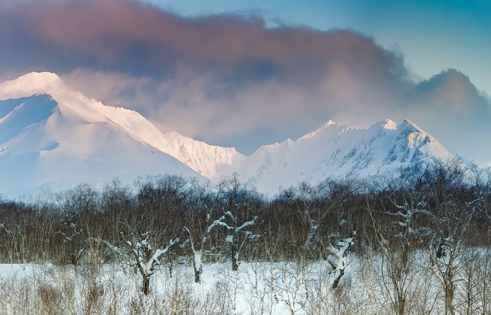 Photograph by Александр Максин