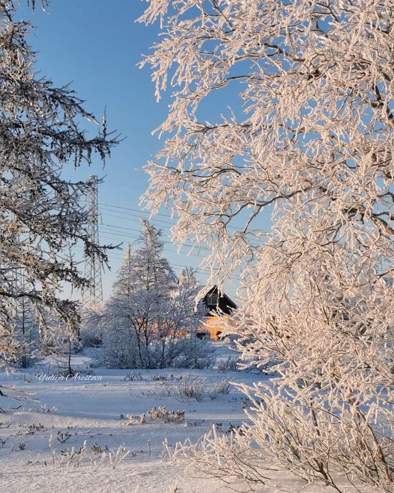 Зимний пейзаж