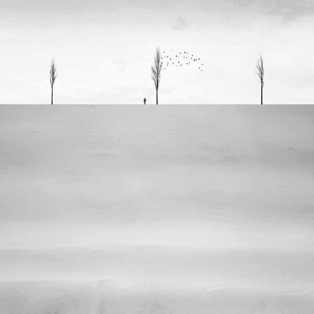 Photograph by Mohammad Dadsetan