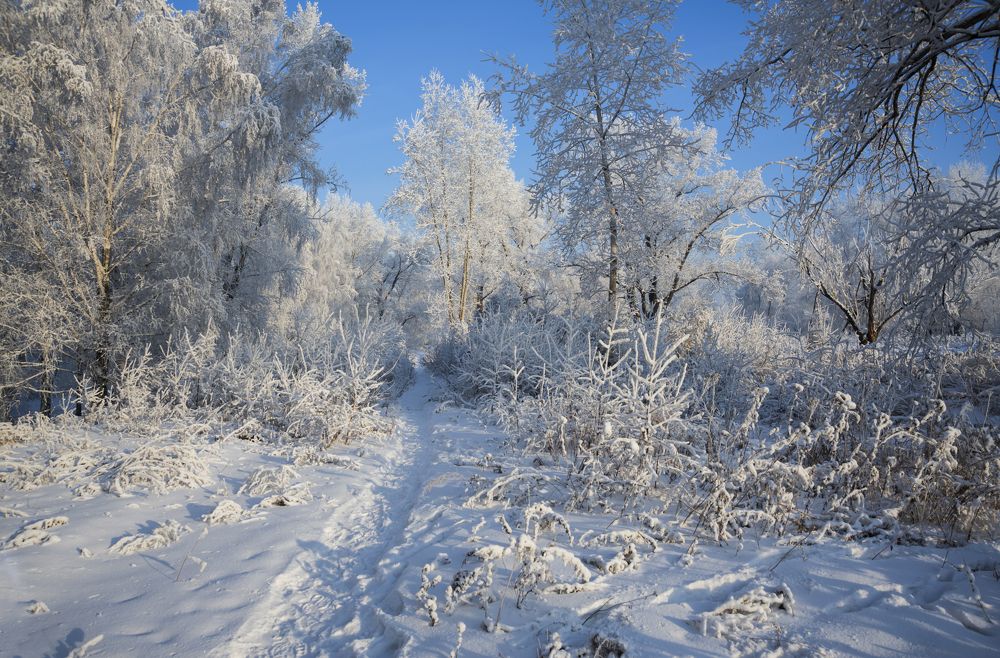 Тропинка в сказку.