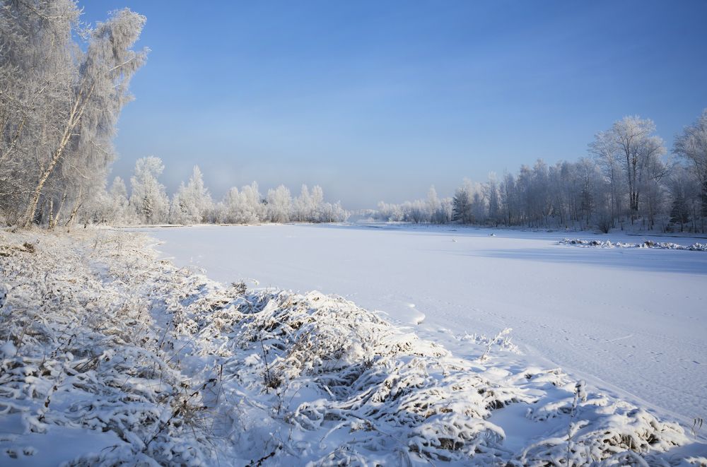 Под снежным покрывалом.