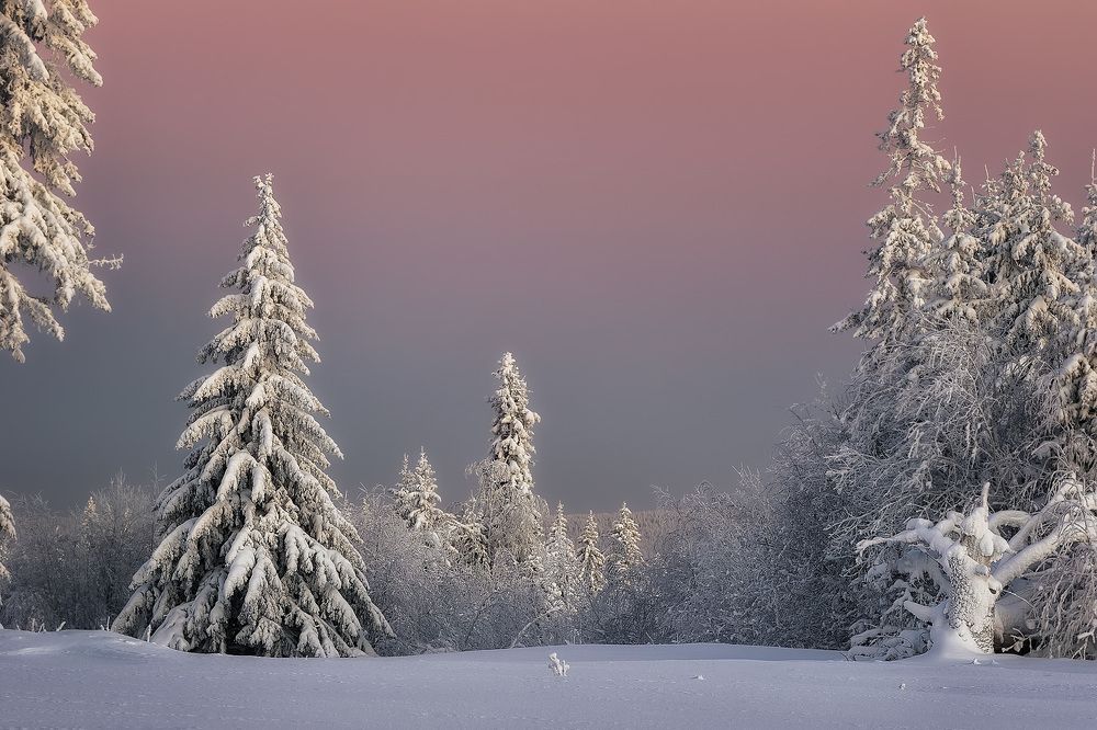 Photograph by Антон Кошетаров