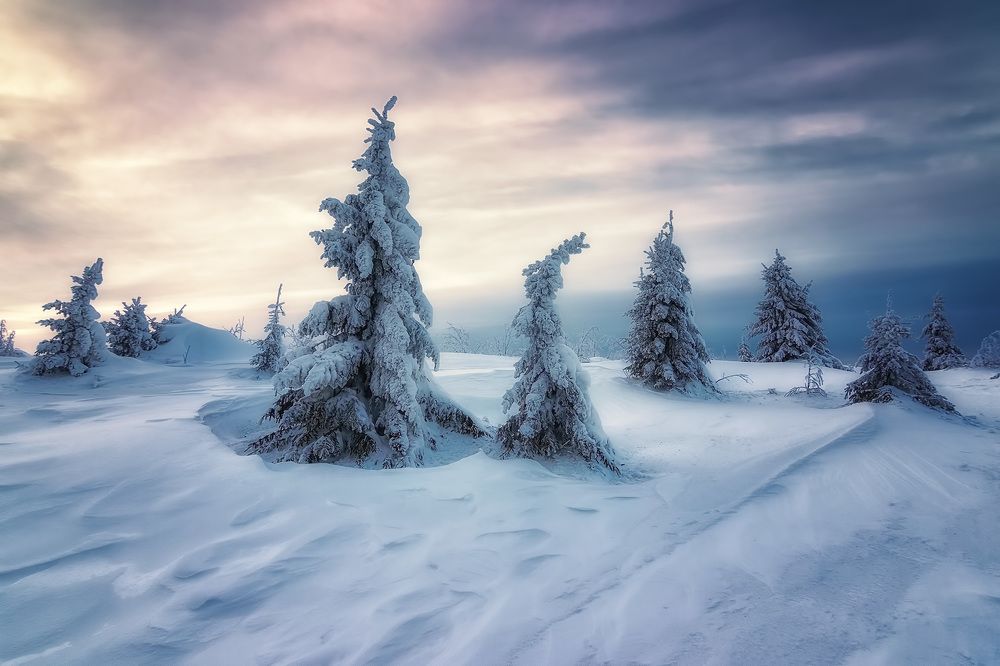 Photograph by Антон Кошетаров