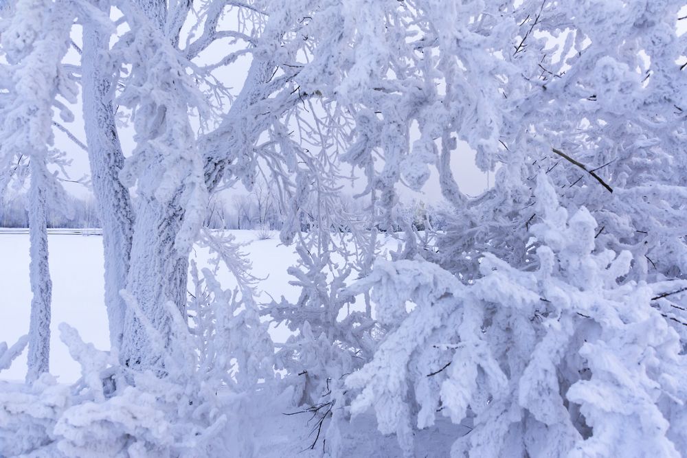 Сибирские морозы.