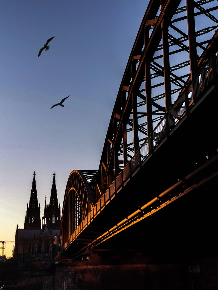 Фотография автора Mojtaba Chenari