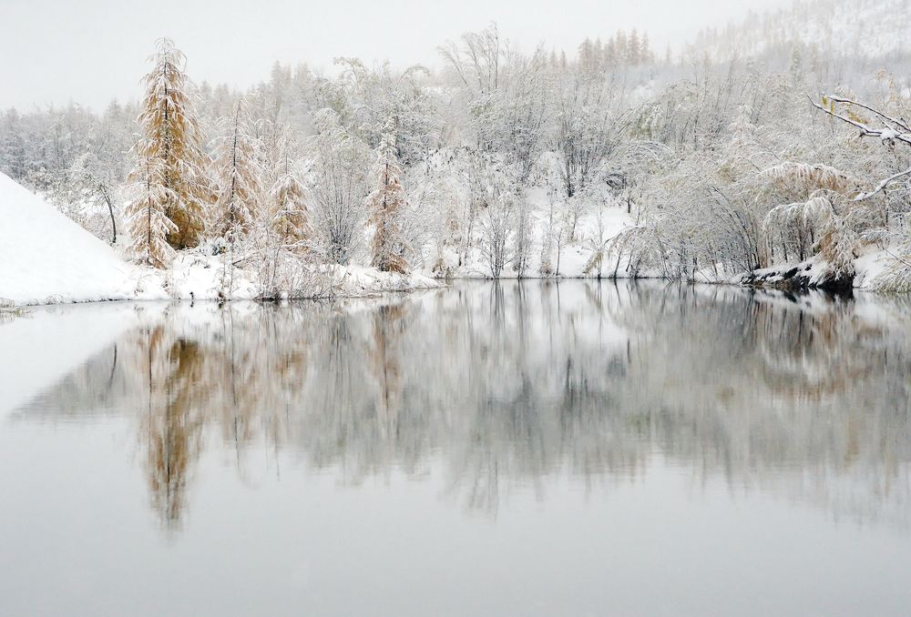 Photograph by Валерий Остриков