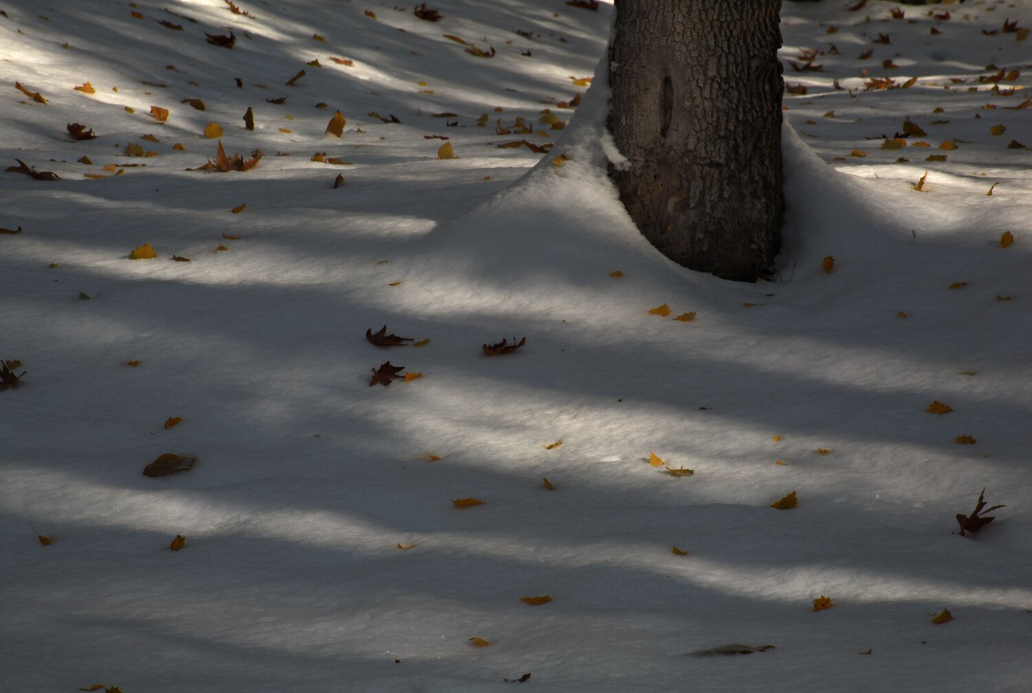Photo #6915223