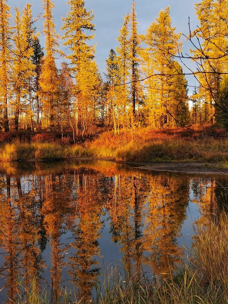 Photograph by Юлия Арестова