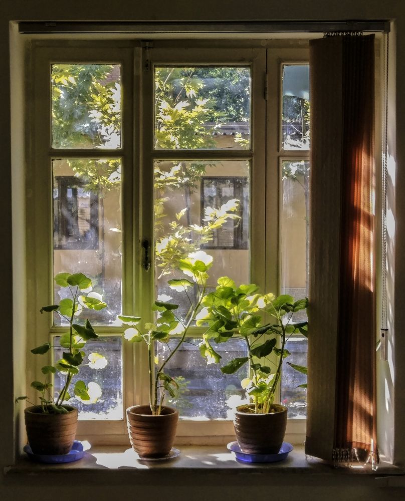 Фотография автора Mojtaba Chenari