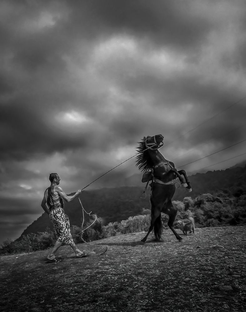 Фотография автора Mojtaba Chenari