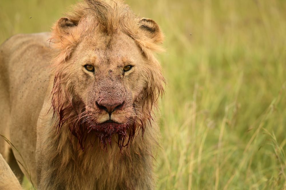 Photograph by Chinmay Fichadiya