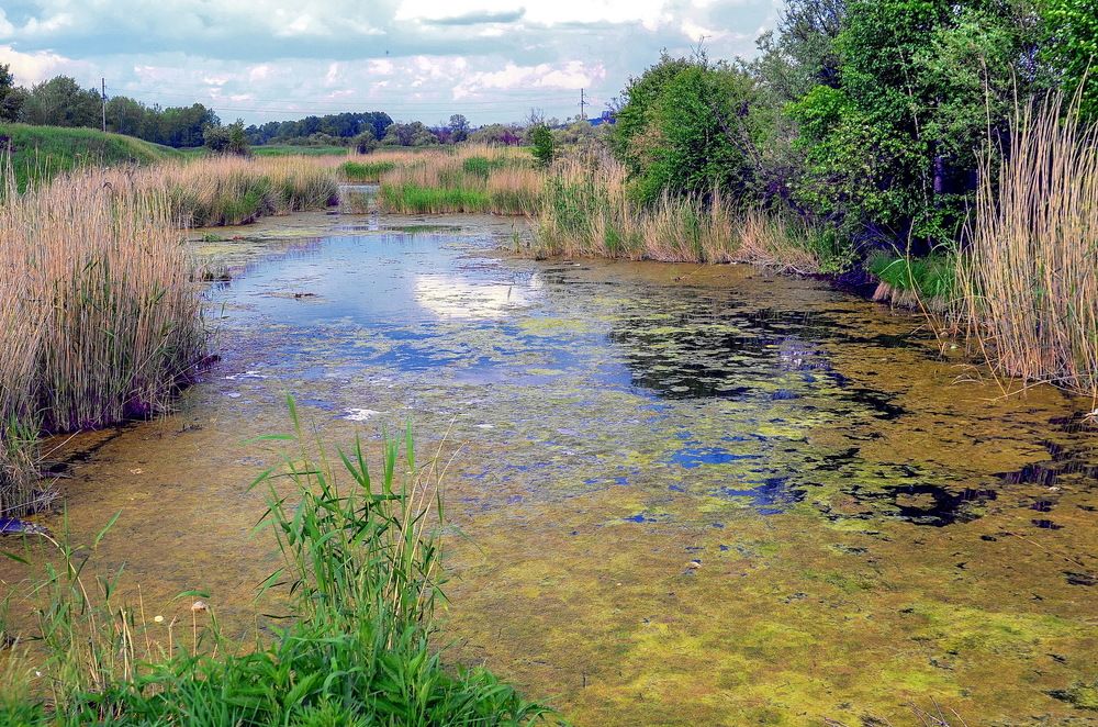 Photograph by Юрий Назыров