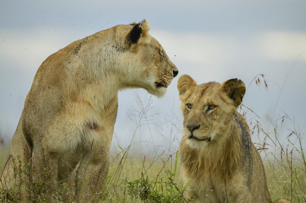 Photograph by Chinmay Fichadiya