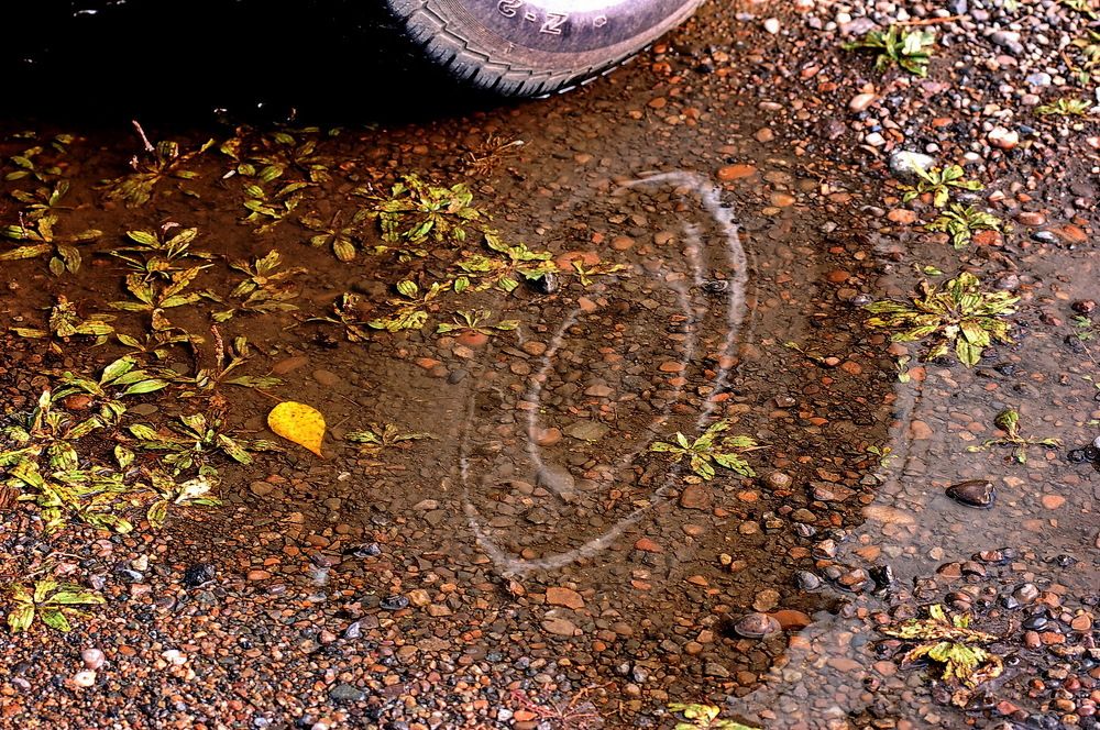 Photograph by Юрий Назыров