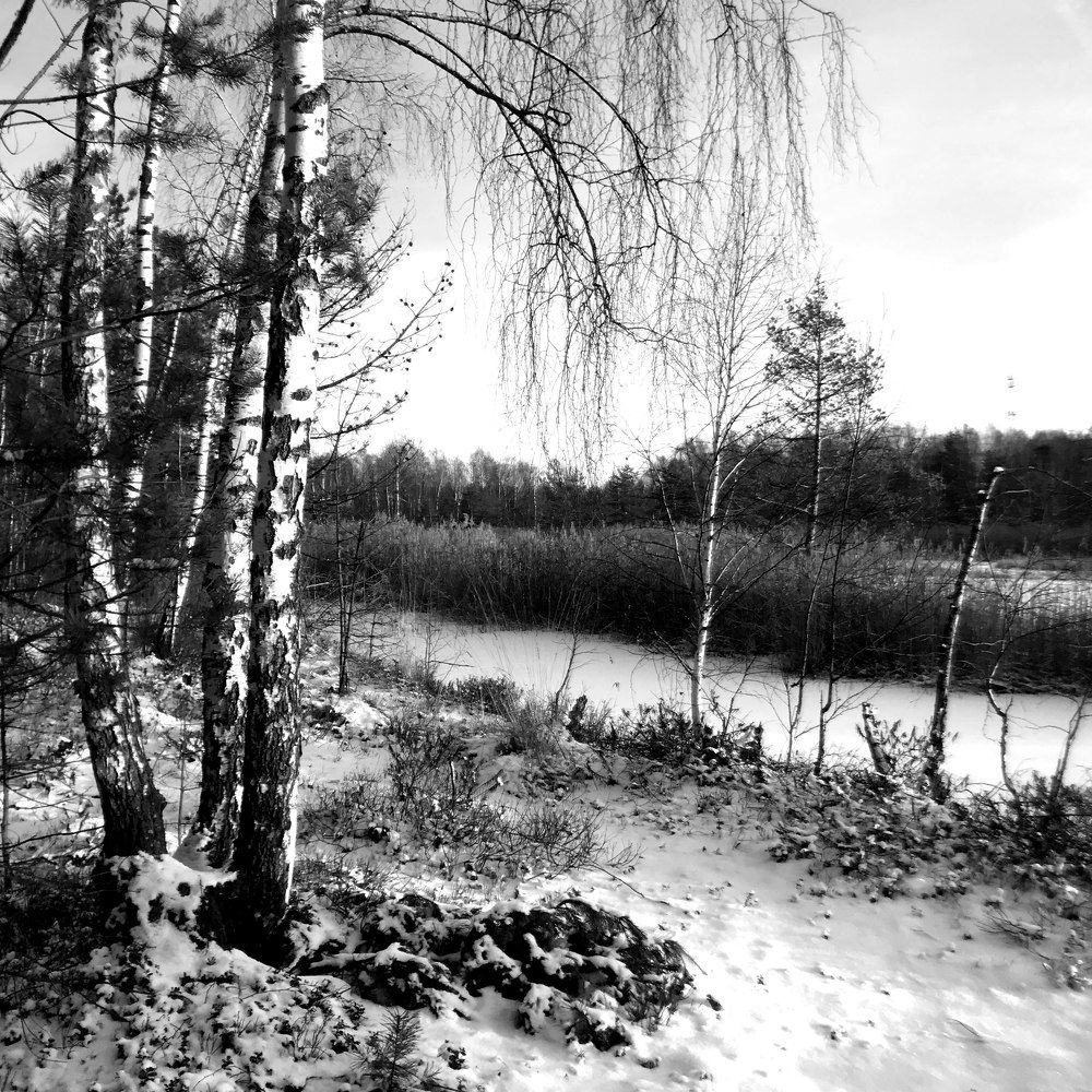 Photograph by Ершов Сергей