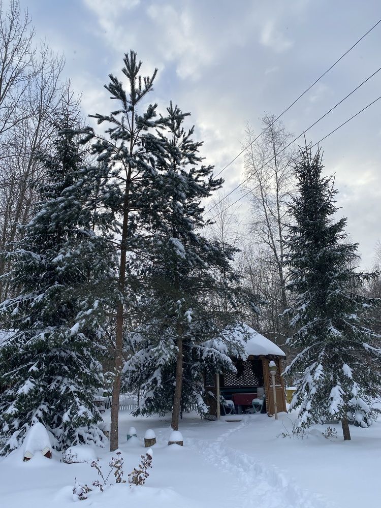 Зимняя сказка