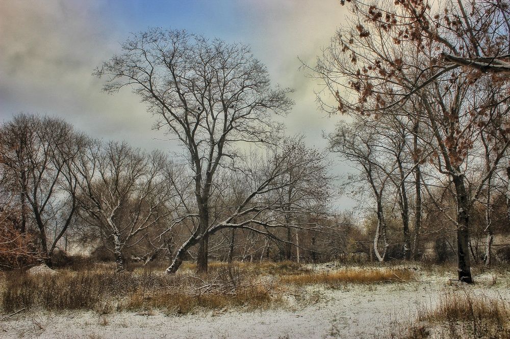 Photograph by Sergey Velichko