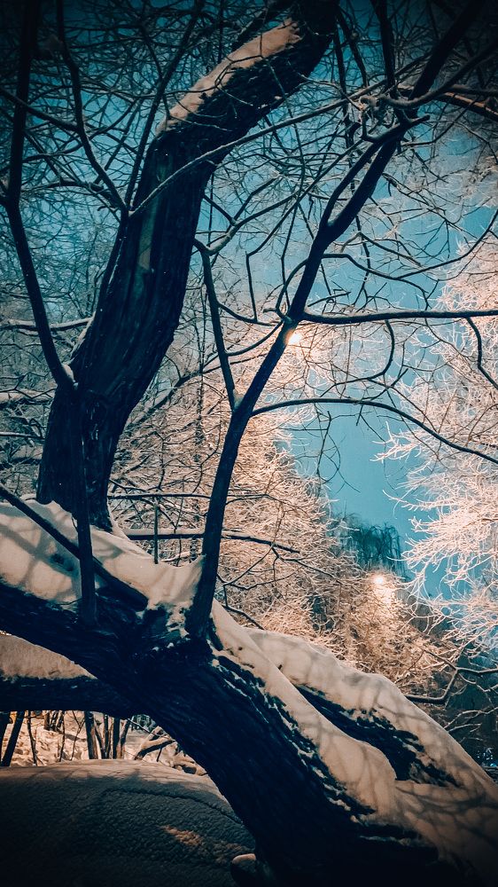 Photograph by Екатерина Алимова