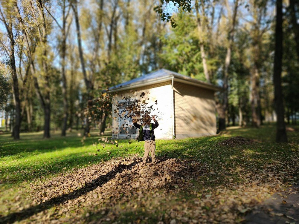 Photograph by Алексей