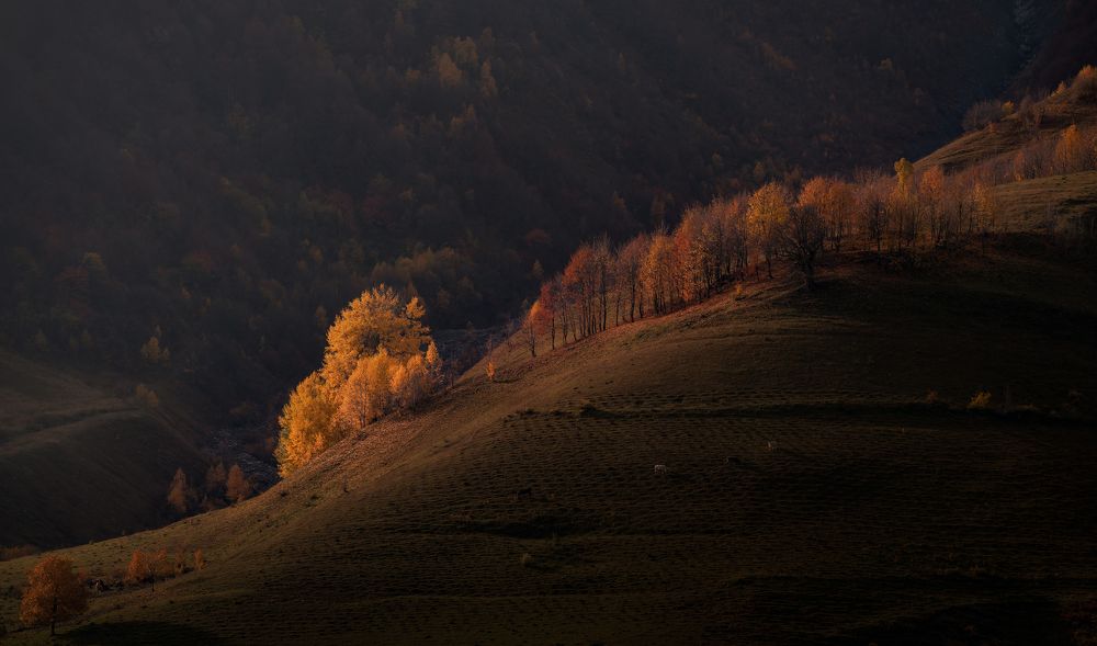 Photograph by Helen Vasilieva