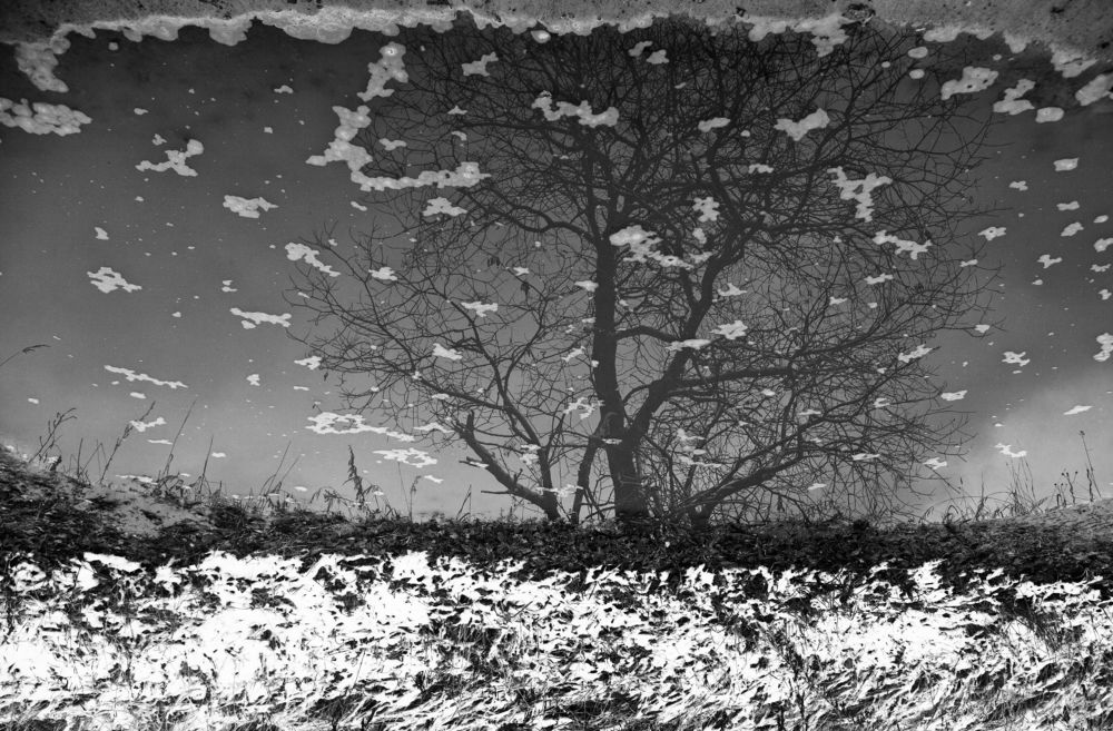 Photograph by Ершов Сергей