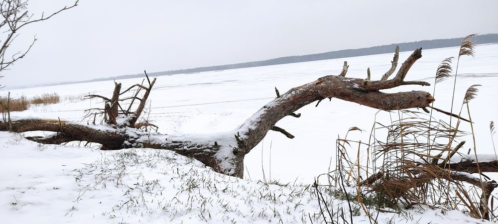 Photograph by Алексей