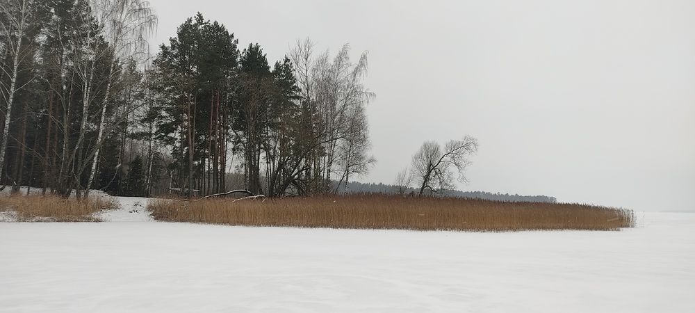 Photograph by Алексей