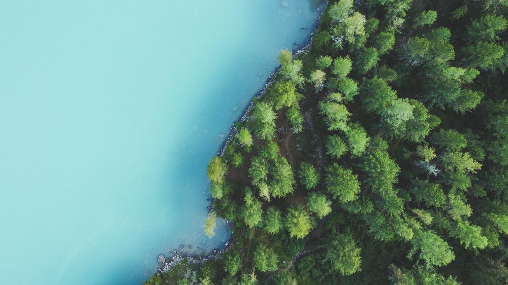 Photograph by Никита Волокитин