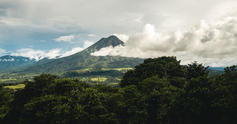 Photograph by Timur Korotkov