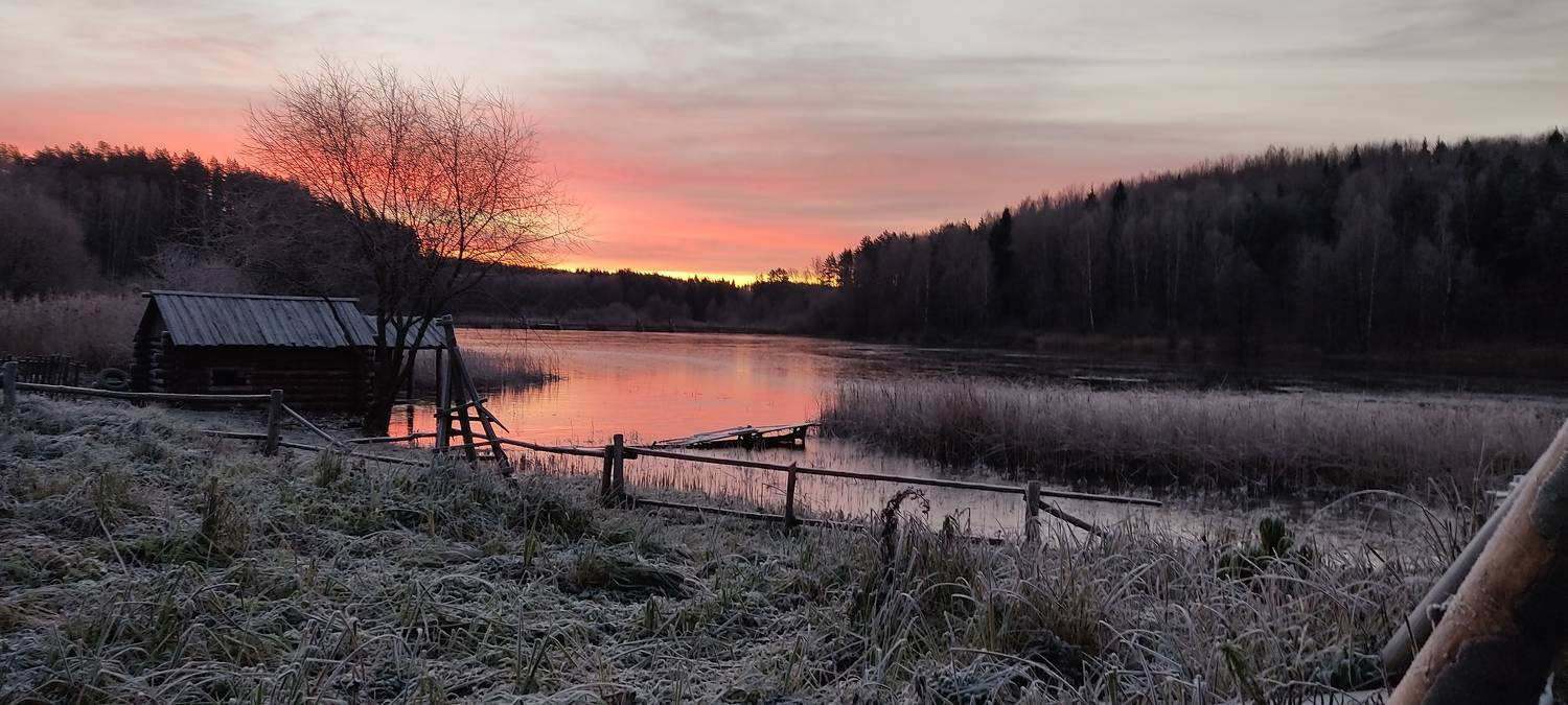 Photo #6915481