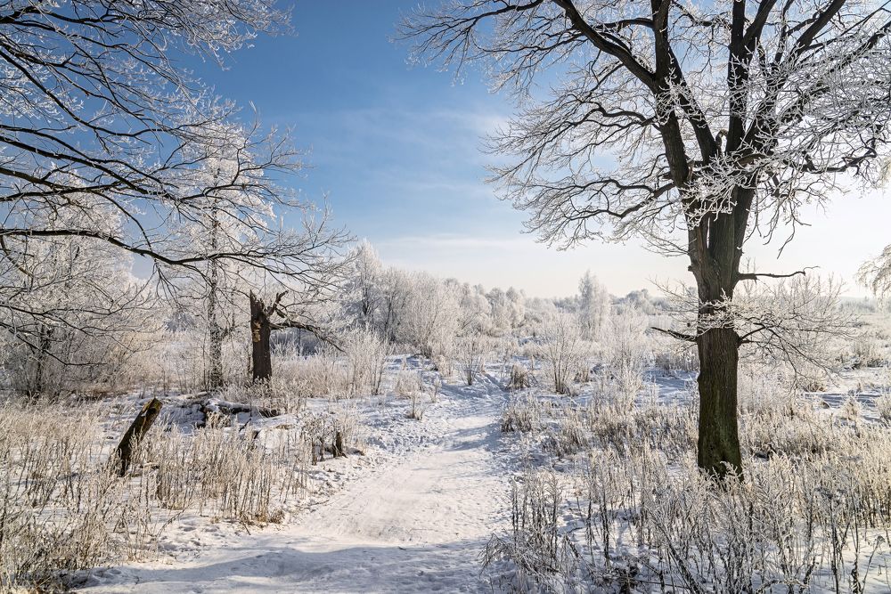 Photograph by Юрий Бичеров